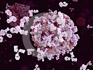 Antibodies binding to an influenza virus