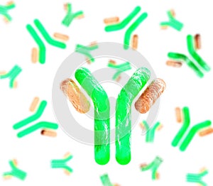 Antibodies, blood plasma globular proteins, 3D rendering