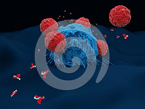 Antibodies and immune T cells attacking a cancer cell