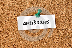 Antibodies. Word written on a piece of paper, cork board background