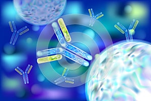 Antibody Ab, also known as an immunoglobulin Ig.