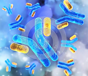 Antibody and DNA helix, immunoglobulins