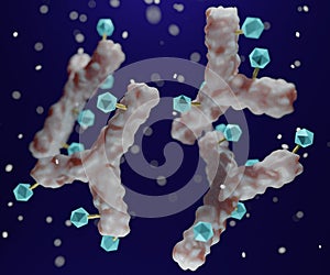 Antibody drug conjugated with cytotoxic payload photo
