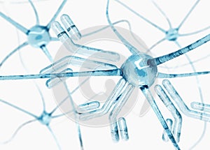 Antibody, immunoglobulins