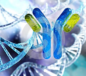 Antibody, immunoglobulins photo