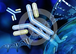 Antibody, immunoglobulins and DNA helix