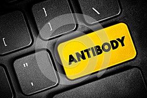 Antibody - is a large Y-shaped protein used by the immune system to identify and neutralize foreign objects such as pathogenic