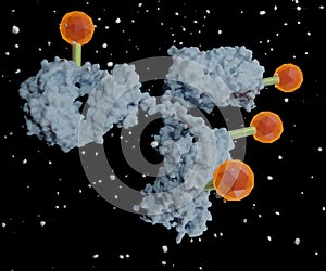 antibody linked to a biologically active cytotoxic or anticancer payload or drug photo