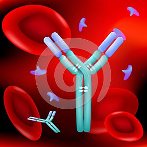 Antibody molecule, Antigen and red blood cells in blood flow