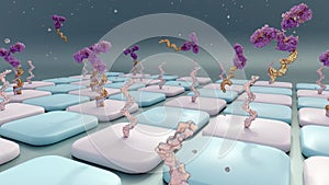 Mechanism of Antibody-oligonucleotide conjugates or AOC