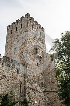 Antic castle with trees in Poland