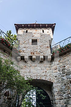 Antic castle with trees in Poland