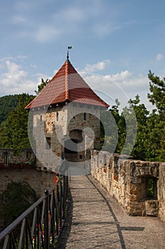 Antic castle with trees in Poland