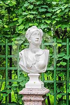 Anticient statue in Summer garden in Saint-Petersburg