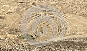 Anticline Geological Formation and Acacia Tree in the Arava Desert in Israel