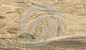 Anticline Geological Formation and Acacia Tree in the Arava Desert in Israel photo