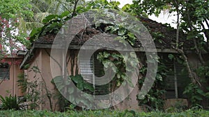 Antigua abandoned house tropical garden