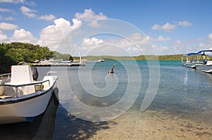 Antigua island and coastline - Saint John`s - Antigua and Barbuda
