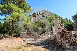 Antik Likya`nn en nemli liman kentlerinden biri olan Olimpos, Antalya, TurkeyOlympos, one of the most humid port cities of ancient