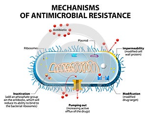 Antimicrobial resistance