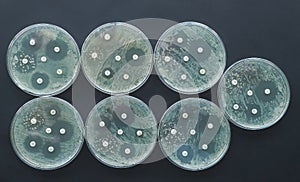 antimicrobial susceptibility test Antibiogram Antibiotic resistance bacteria