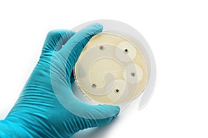 Antimicrobial susceptibility test
