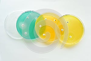 Antimicrobial susceptibility testing