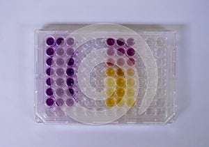 Antioxidant assay