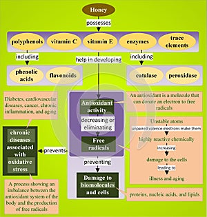 Antioxidant properties of honey