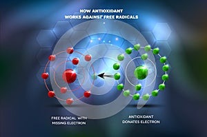 Antioxidant works against free radical