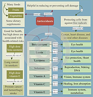 Antioxidants are helpful in reducing or preventing cell damage