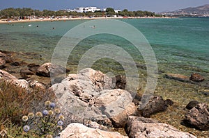 Antiparos beach, Cyclades photo