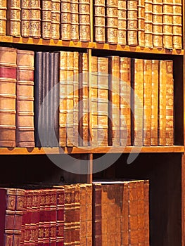 Antiquarian books photo