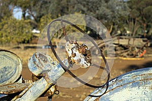 Antiquated farm equipment in community park