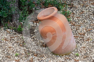 Antique Amphora in the garden