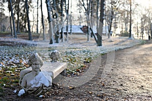 Antique bench in the city park Uzutrakis