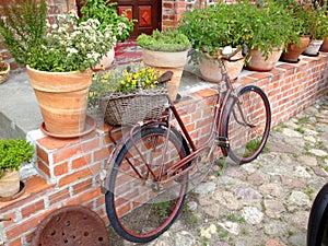 Antique bicycle leaning against the wall