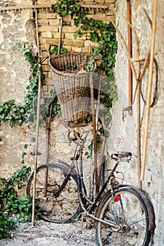 Antique bicycle