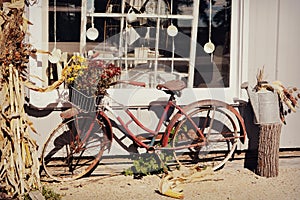 Antique Bicycle photo