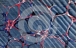 Antique book binding