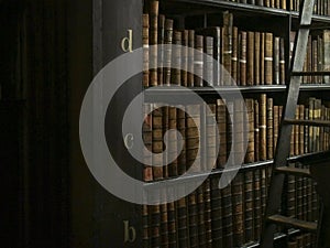 Antique Books and Ladder in Library