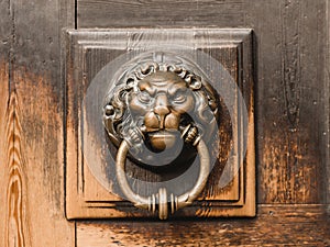 Antique brass door knocker in the shape of a lion`s head, detail of wooden door