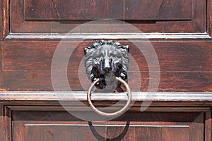Antique brass door knocker in the shape of a lion`s head, detail of wooden door