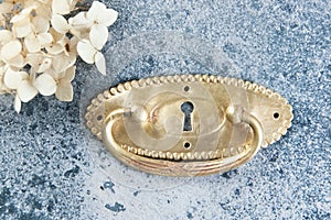 Antique brass drawer pull knob