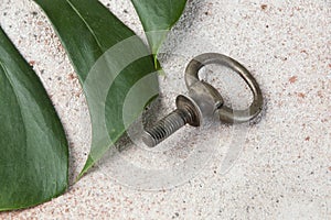 Antique brass drawer pull knob