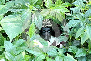 Antique buddha god in nature