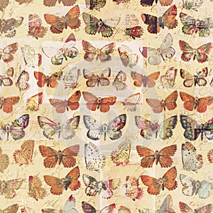 Antique butterflies grungy shabby chic pattern botanical background
