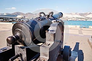 Antique cannon on gun carriage