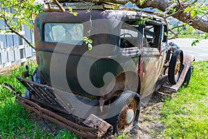 Antique car abandoned under a tree