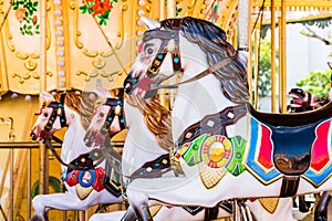 Antique carousel horses